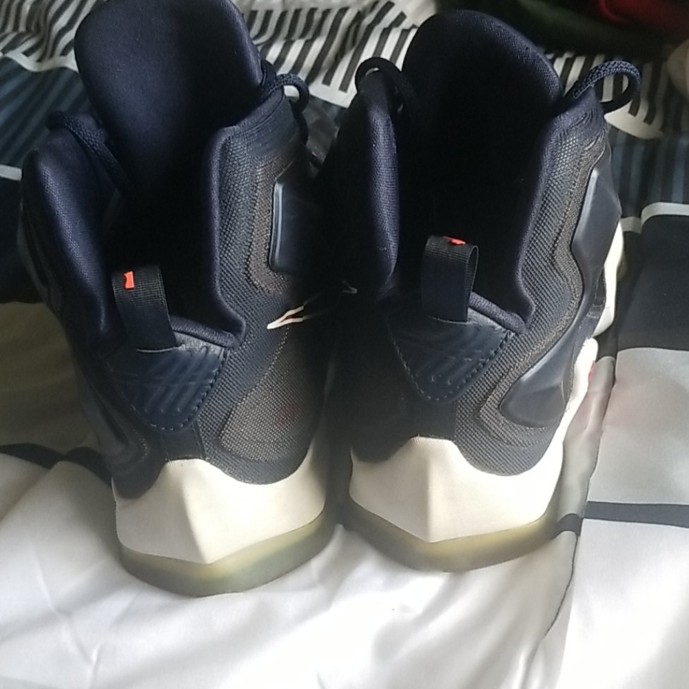 Lebrons - Picture 5 of 6
